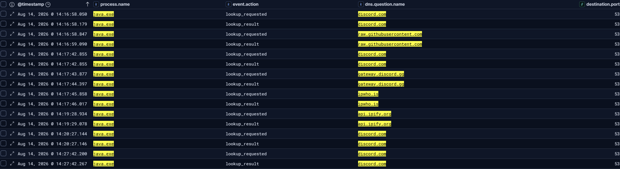 Discord, GitHub, and public-IP service DNS activity from Java